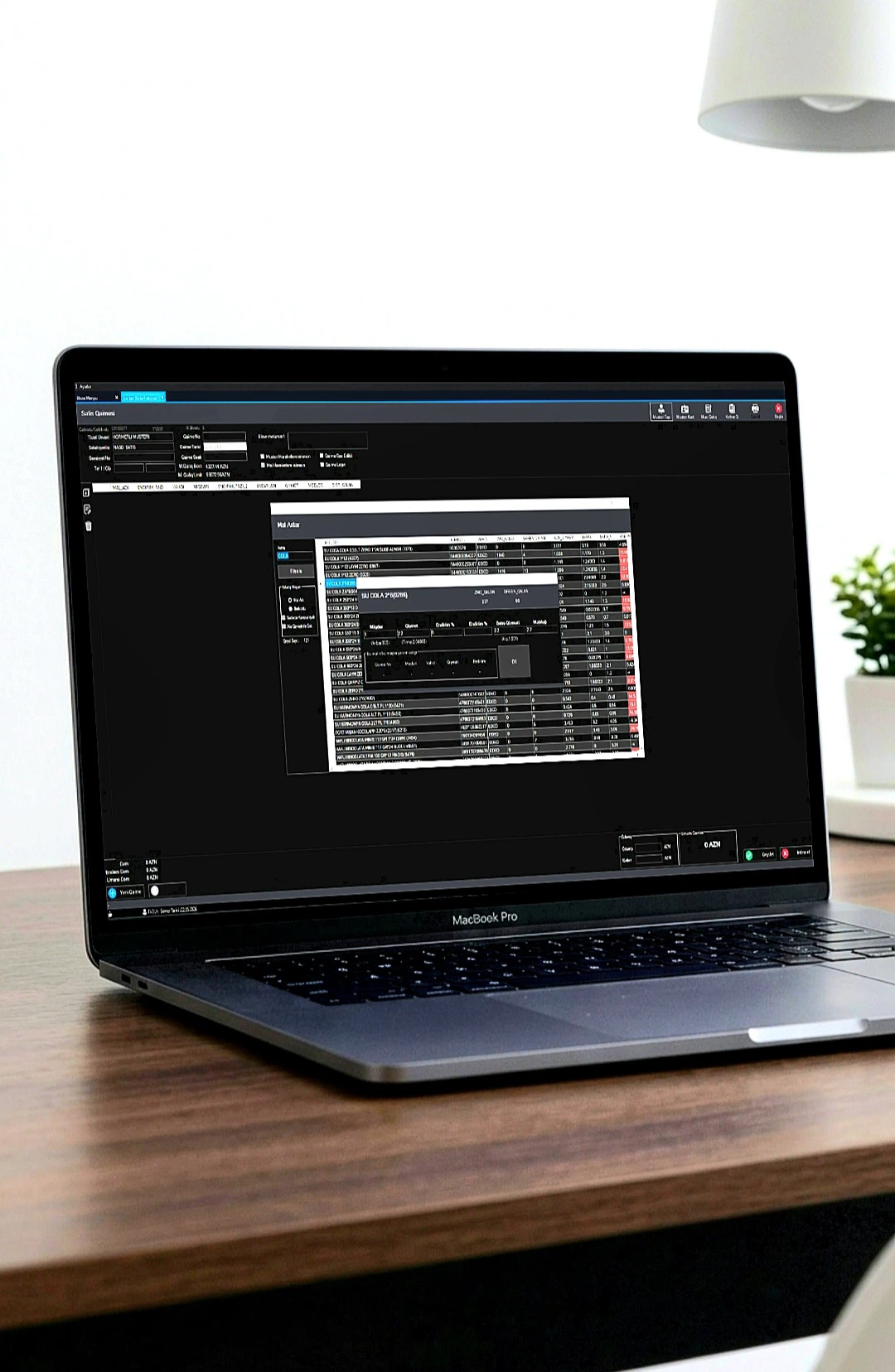 ERP sistem, yazılım ve programlar